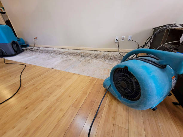 Professional Structural Drying technician working in Sebastian, FL
